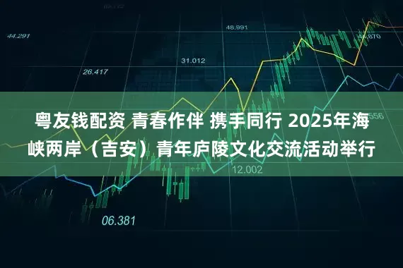 粤友钱配资 青春作伴 携手同行 2025年海峡两岸（吉安）青年庐陵文化交流活动举行