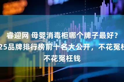 睿迎网 母婴消毒柜哪个牌子最好？2025品牌排行榜前十名大公开，不花冤枉钱